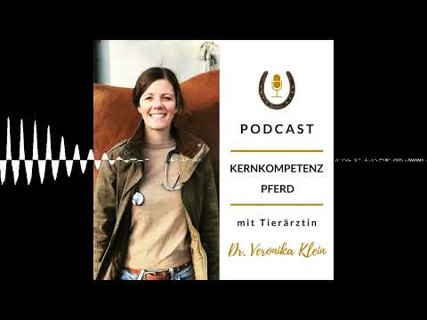 Sehnenschaden beim Pferd: Die 3 größten Aufbau-Fehler