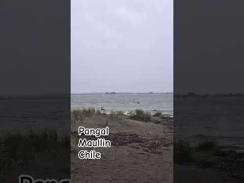 Día lluvioso en #Maullin, #Playa #Pangal , #Chile #regiondeloslagos