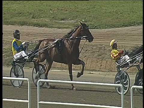 Trotto 17/04/2017 - 3ª corsa