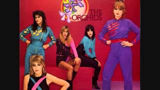 The Orchids - Self-Titled LP (1980) Vinyl Rip