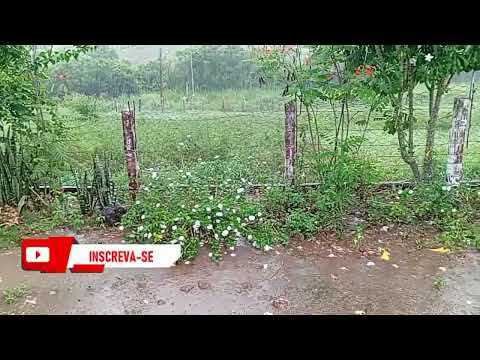 muita chuva aqui em passira agreste de Pernambuco. para molhar a plantação de milho 🌽🌽🌽