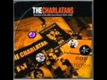 the charlatans,high up your tree