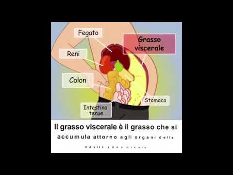 Grasso Viscerale