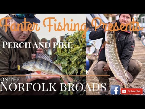 Fanter Fishing- Winter Perch and Pike fishing On the Norfolk Broads, Wroxham and Horning