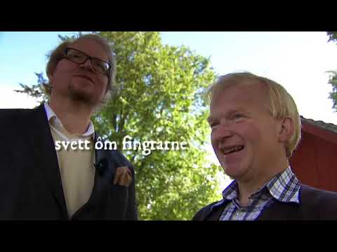 Svenska Dialektmysterier s02e01 - Värmländska (2012)