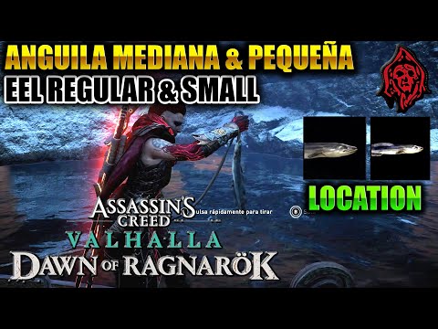 ASSASSIN'S CREED VALHALLA DAWN OF RAGNAROK EEL REGULAR & SMALL/ANGUILA MEDIANA & PEQUEÑA LOCATION
