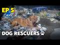 The Dog Rescuers: Episode 5 - Dumped & Abandoned | Full Documentary