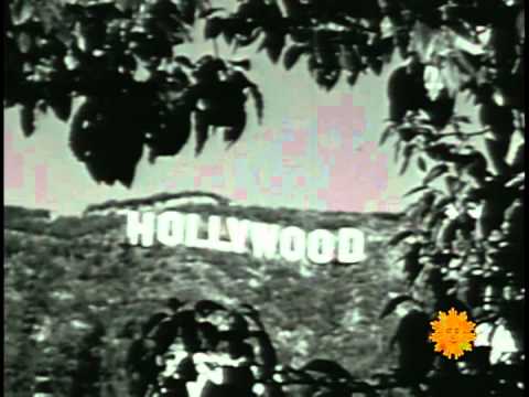 The Return of The Tiki Bars