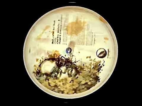 black coffee feat. thiwe / crazy → muzzaik productions presents URH / mellow