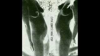 C.S.S.O. - Genital Grinder (CARCASS)