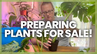 HOW TO Prepare Plants For Farmers Markets And Plant Sales