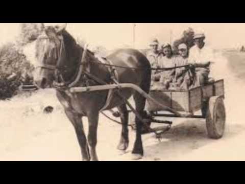 עגלה עם סוסה  יפה ירקוני 1961