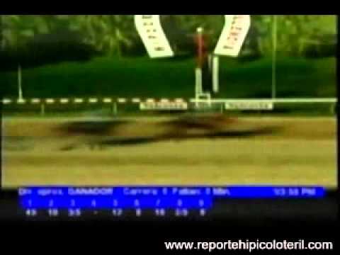 Resumen Sábado 07 de Enero de 2011 - Valencia