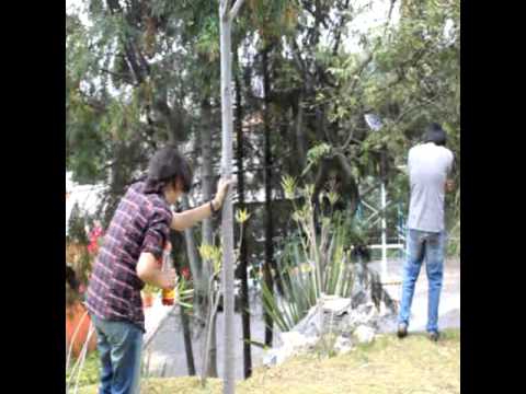 Hipsteria: guerra de refrescos