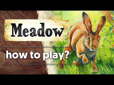 Meadow - How To Play - board game rules