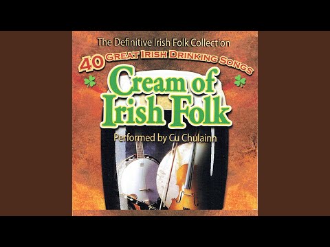 St Patrick Was a Gentleman