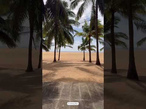 Millionaire mansion private beach