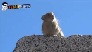 Montaje Queen en Wembley