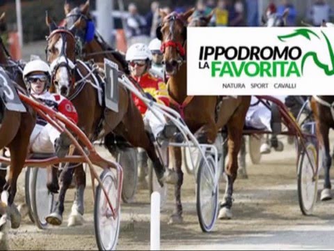 Anteprima corse di Sabato 19 Dicembre 2015