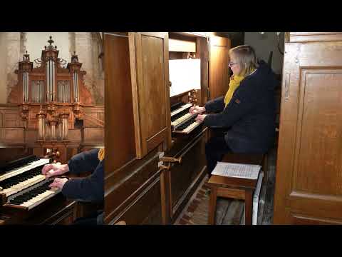 Gilles Jullien Cromorne en taille - Pippa Schönbeck,  l'orgue l'église  Saint Jean-Baptiste, Nemours
