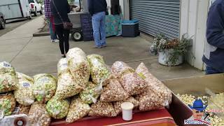 First Day Selling Kettle Corn