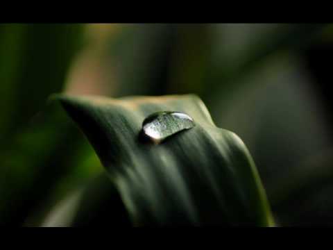 The Roc Project ft. Tina Arena - Never (Dj Tiesto Remix)