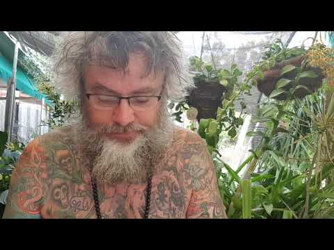 ACIM WB Lesson 42 ~ A COURSE IN MIRACLES WORKBOOK LESSONS ~ 365 DAYS W/ DAVE PHARE