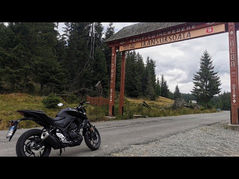 Transursoaia | Țara Moților