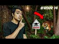 Surviving 24 Hours In A Forest!