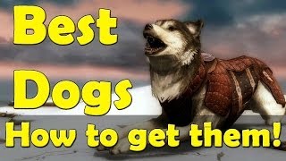 skyrim: Where to get Best Pet Dog Follower