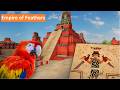 Empire Of Feathers The Legacy Of Macaws In The Southwest