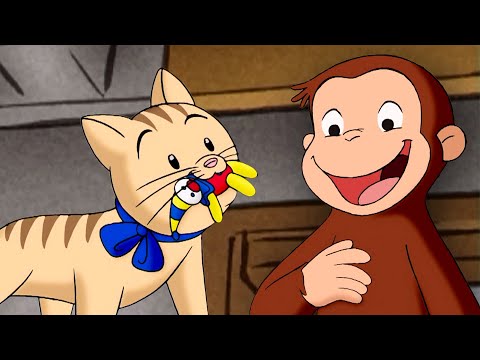 ¡Ese no es un juguete para gatos! | Jorge El Curioso En Español