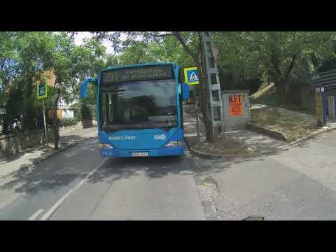 Budapesten, a 291-es busz majdnem balesetet okoz