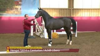 Video von Calichero