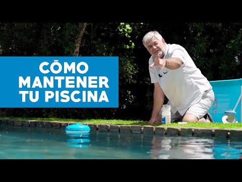 Cómo mantener tu piscina