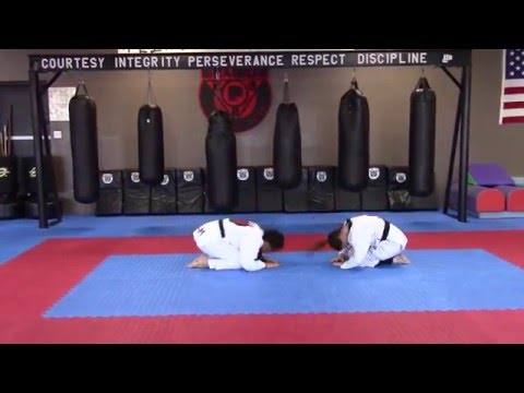 Taekwondo Reversing Mount & Passing Guard