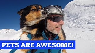 People Are Awesome & The Pet Collective present: Pets are Awesome!