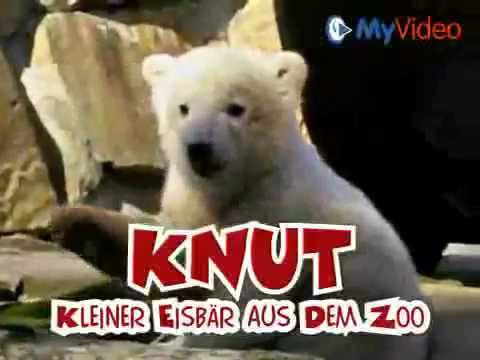 KNUT DER KLEINE EISBÄR - (Knut il piccolo orso polare)