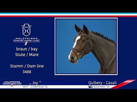 4. Holsteiner Winter-Chance 2022 | Nr. 13v.  Quibery - Casall