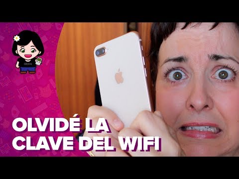 Cómo saber la CONTRASEÑA de tu WIFI