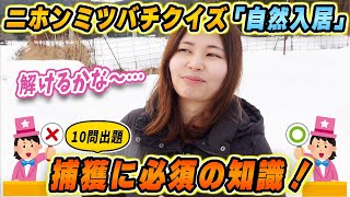 答えられればニホンミツバチ捕獲も夢じゃない！？自然入居基礎知識10問！
