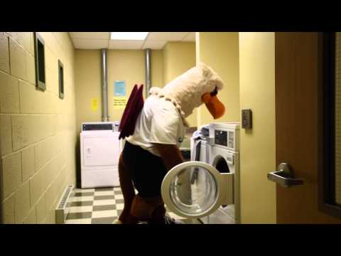 What Not to Do - Part 2