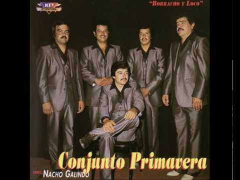 Conjunto Primavera Borracho Y Loco