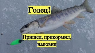 Ссылка