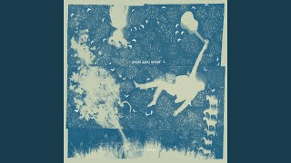 Yellow Jacket