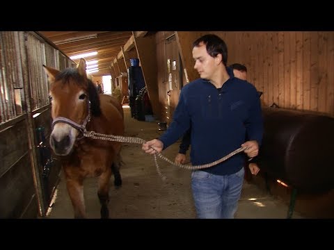 Christoph Ausseer Haus - Pferdehof Saurugg