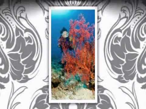 The Lockwood Pioneer Scuba Diving Museum - Vintage Scuba Gear