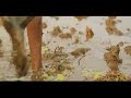 Nelkrishi Song