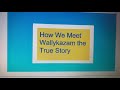 Wallykazam Blue S Clues Part 1 How We Meet Wallykazam The True Story Part 1