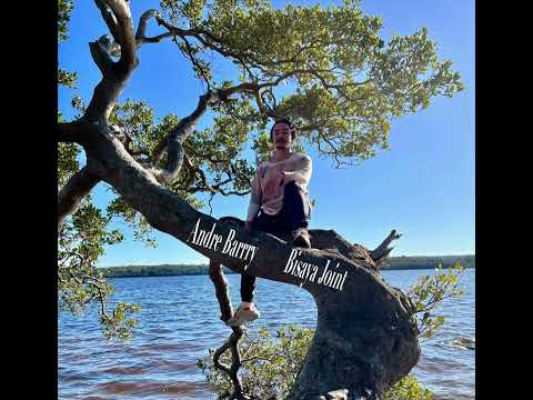 Andre Barrry - Bisaya Joint